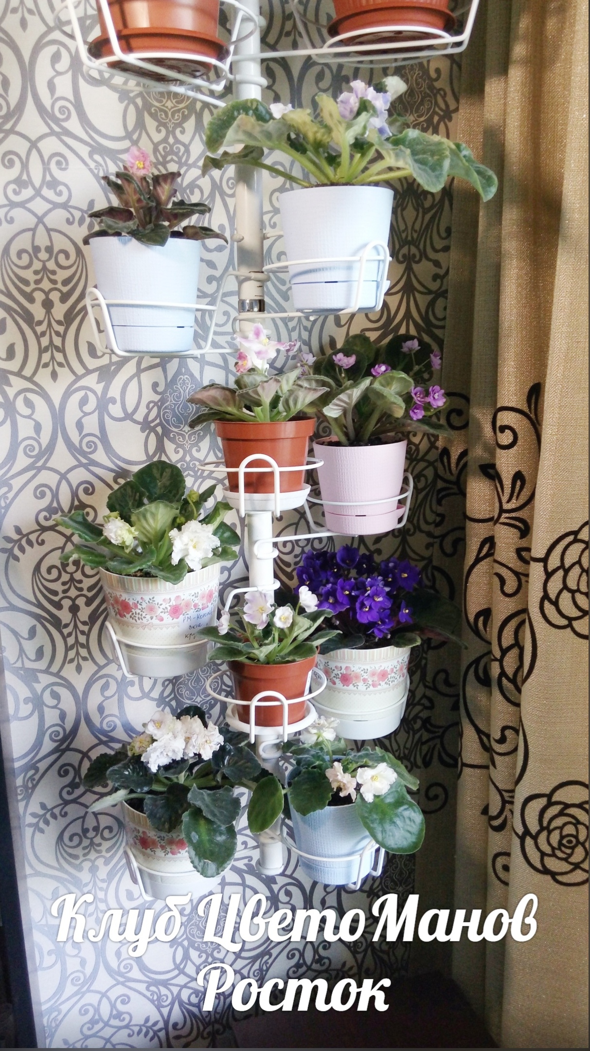 подставка металлическая для цветов на стену. Фото N17