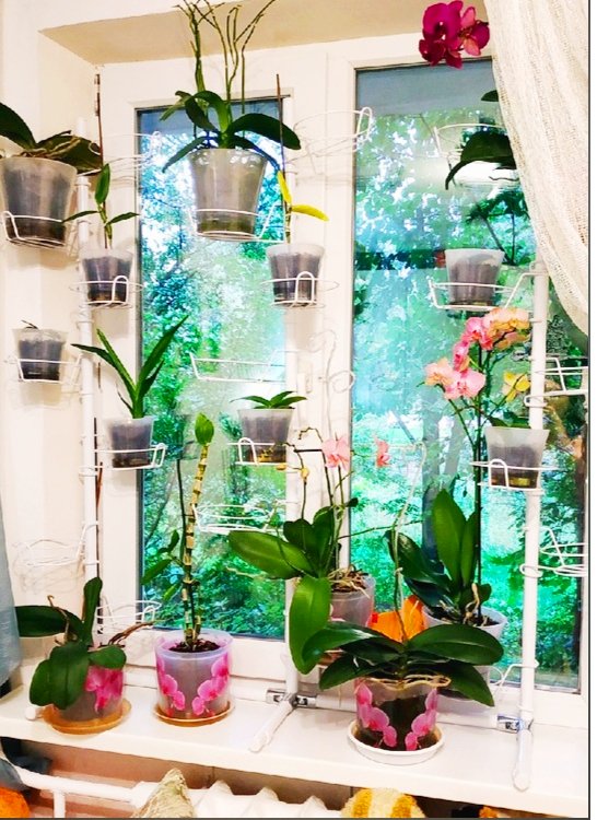 металлическая подставка на окно вместительная. Фото N9