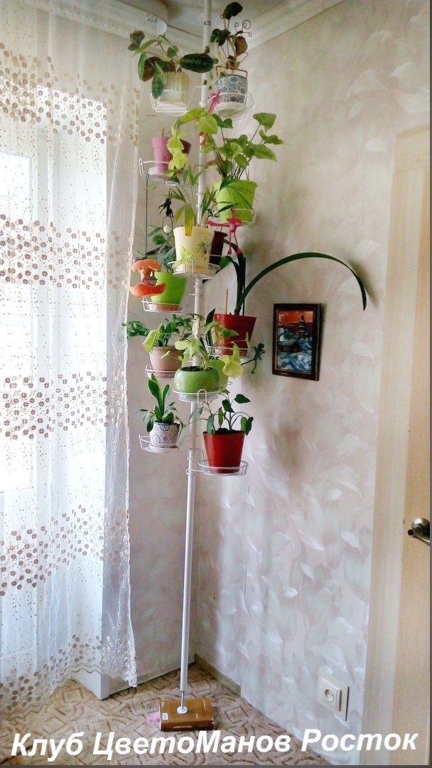 Подставка для цветов распорная напольная . Фото N10