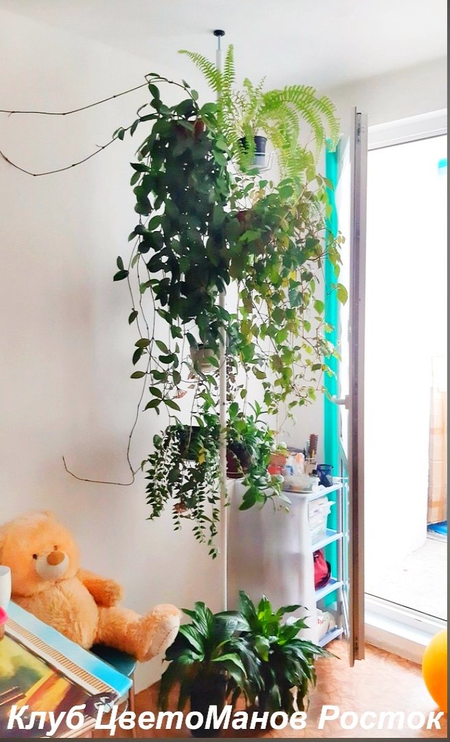 Подставка для цветов распорная напольная . Фото N7