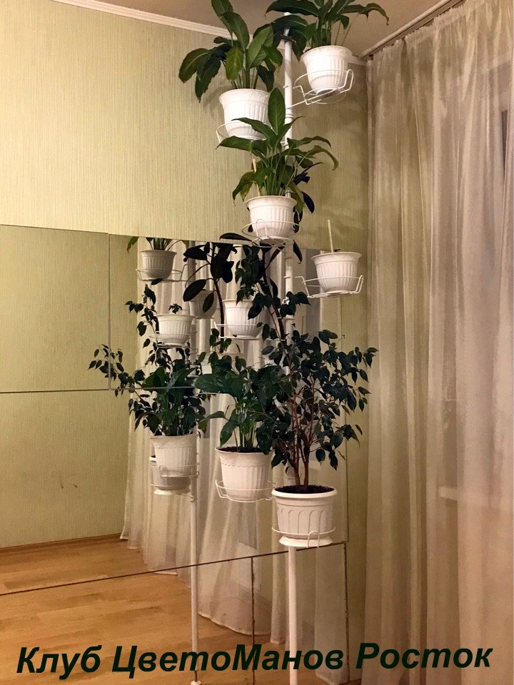 Подставка для цветов распорная напольная . Фото N5