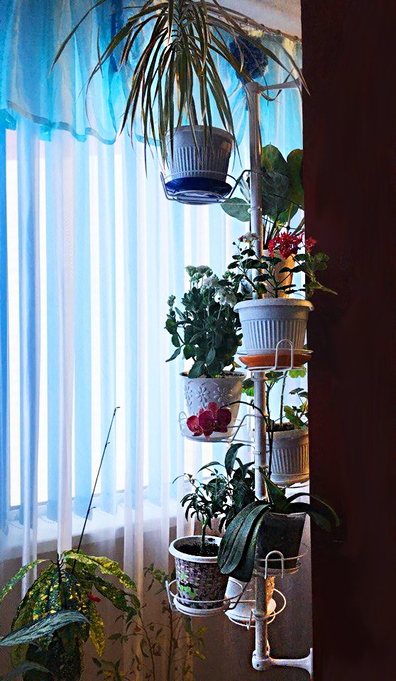 подставка металлическая для цветов на стену. Фото N7