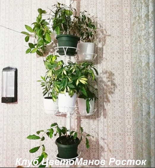 подставка металлическая для цветов на стену. Фото N19