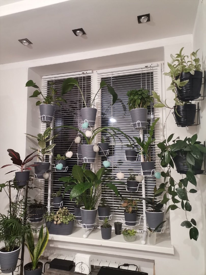 металлическая подставка на окно вместительная. Фото N8