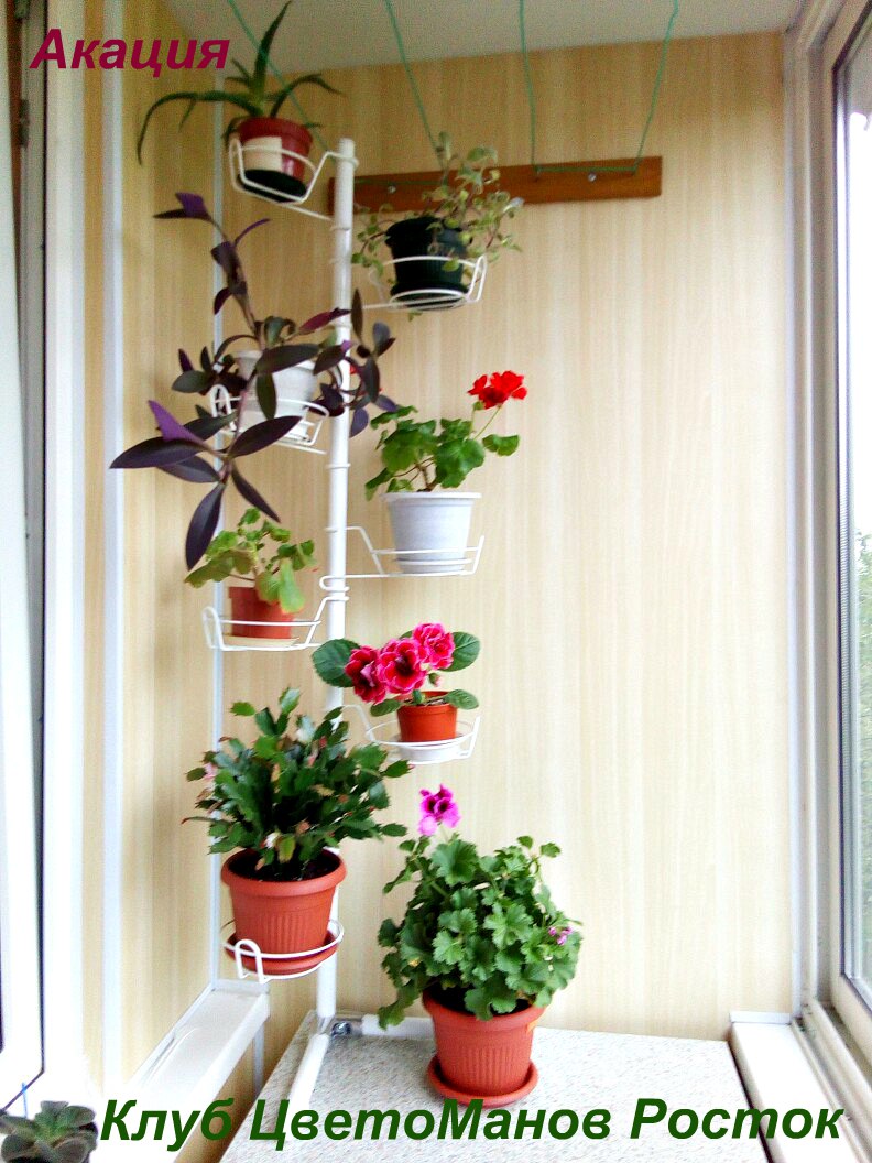 подставка на окно угловая металлическая с ножками. Фото N11