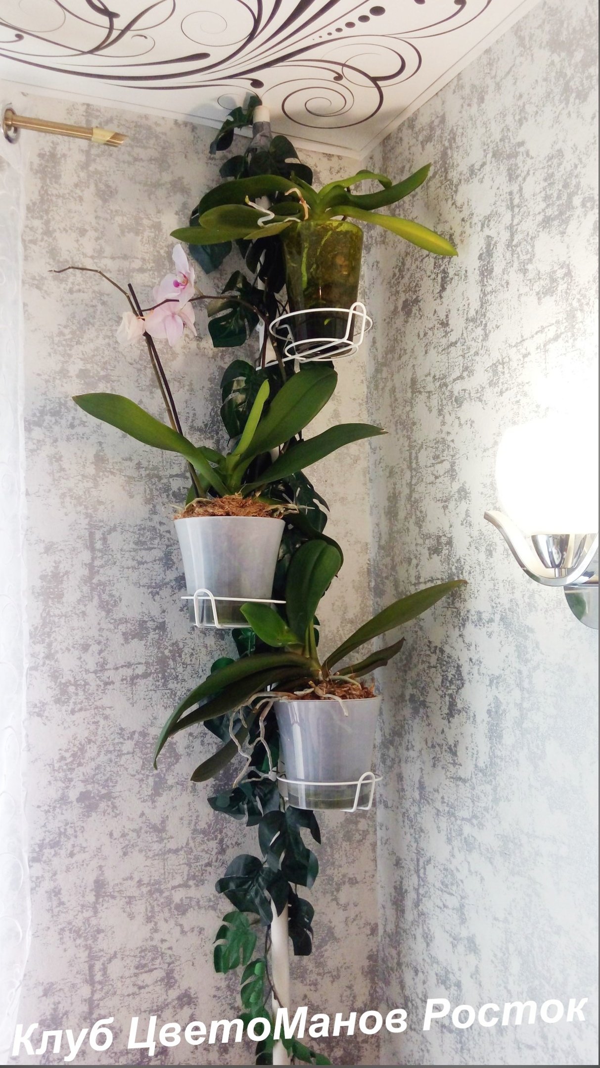 Подставка для цветов распорная напольная . Фото N6