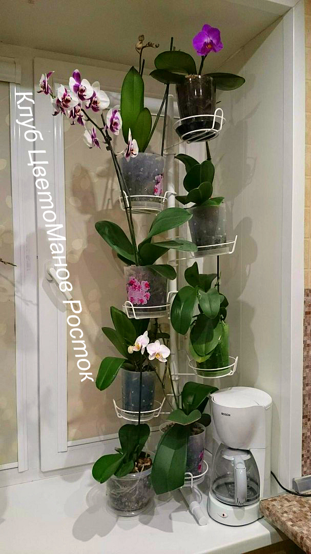 подставка на окно угловая металлическая с ножками. Фото N6